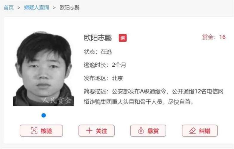 多多悬赏2022游戏截图