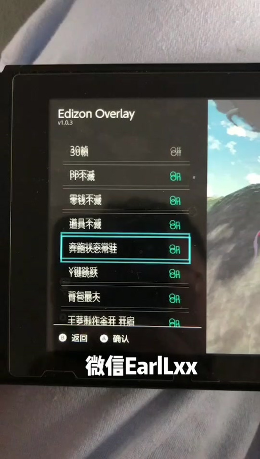 switch破解版金手指放哪里游戏截图