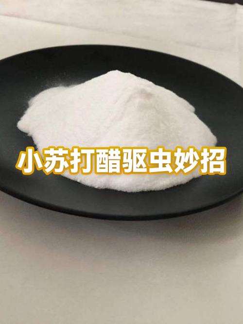 白醋灭蚂蚁正确方法缩略图
