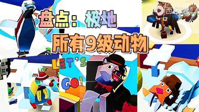 疯狂动物园九级动物缩略图