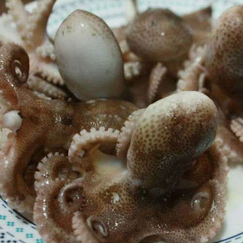 半熟迷你八抓鱼是怎么做的