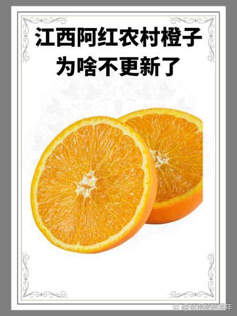 江西农村橙子阿红