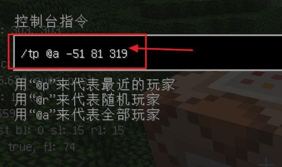 mc开启坐标指令游戏截图