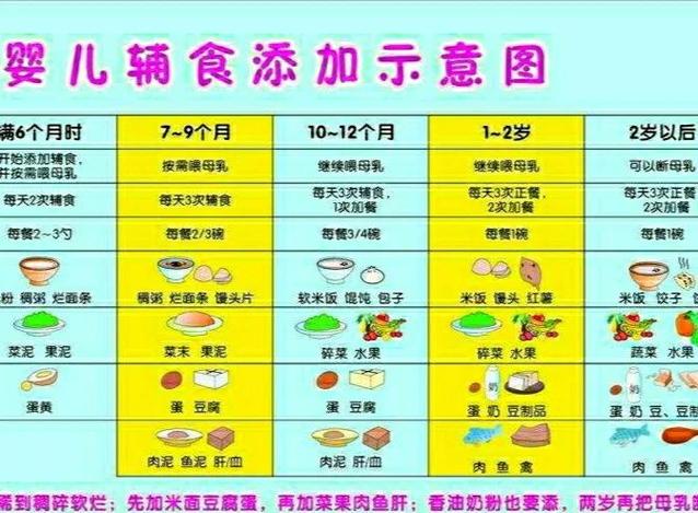 9到12个月辅食食谱图标