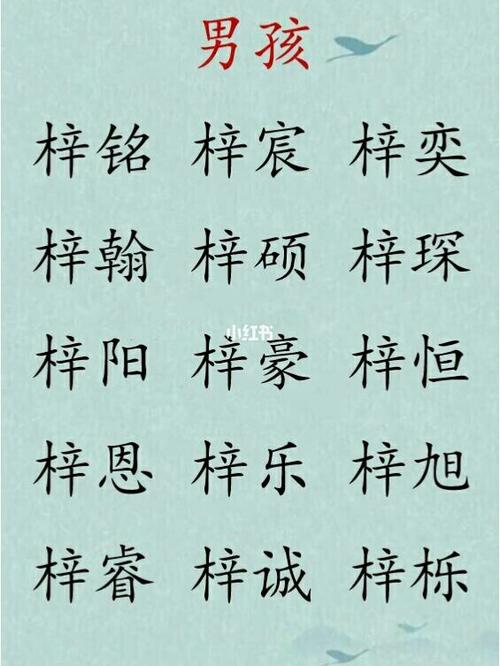 清华北大男孩名字大全