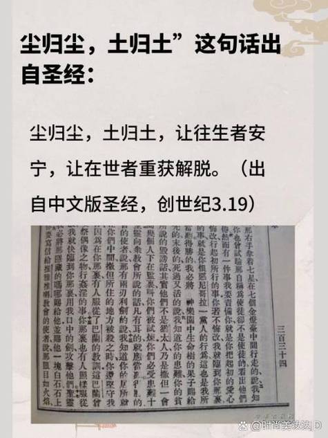 圣经中文全文缩略图