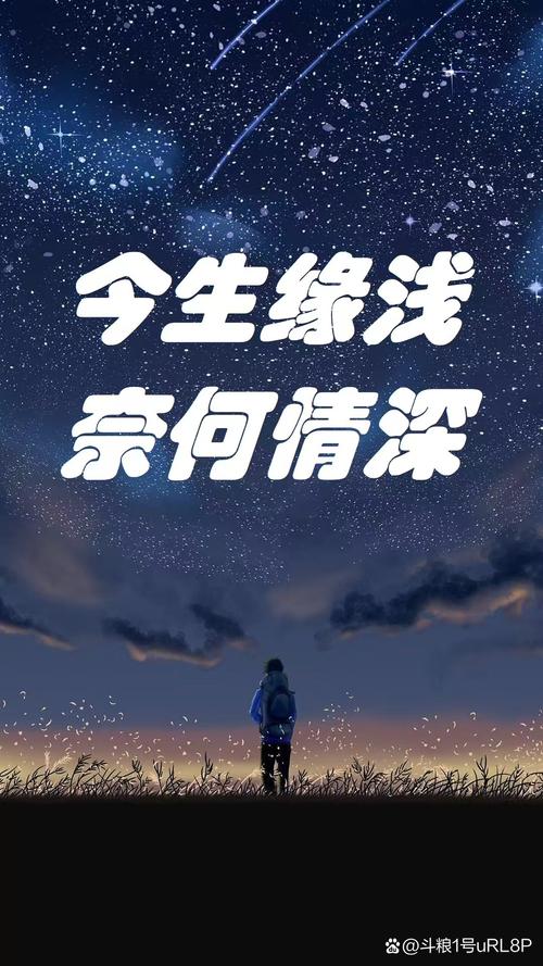 筑梦情缘沈其西