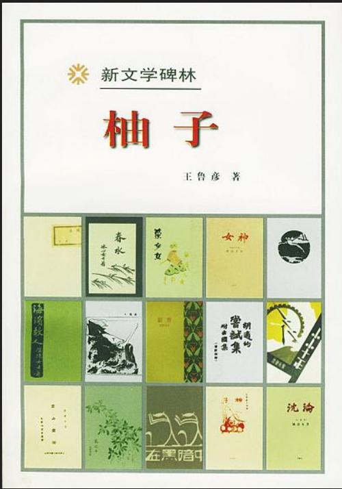 柚子小說图标
