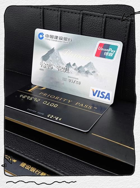 建行储蓄卡支持visa游戏截图