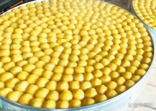 豆包用的豆子是什么豆子缩略图