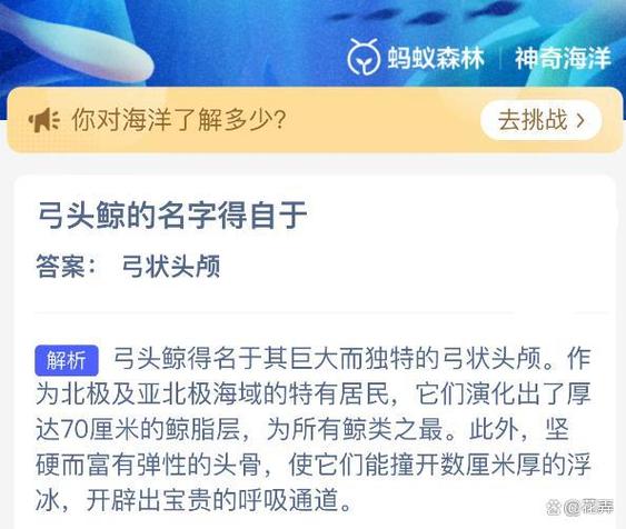 蚂蚁蚂蚁森林今天的正确答案是什么缩略图