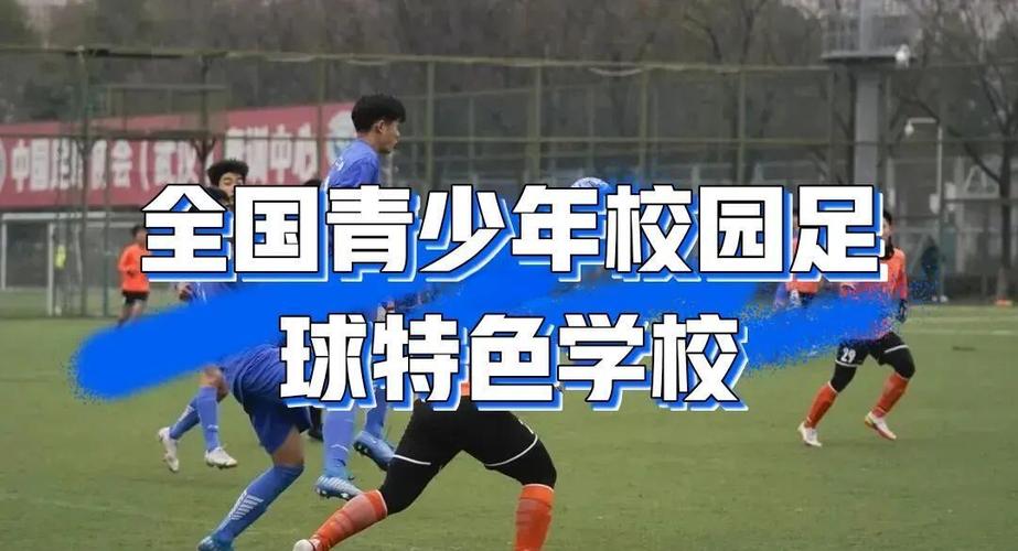校园足球特色学校汇报游戏截图