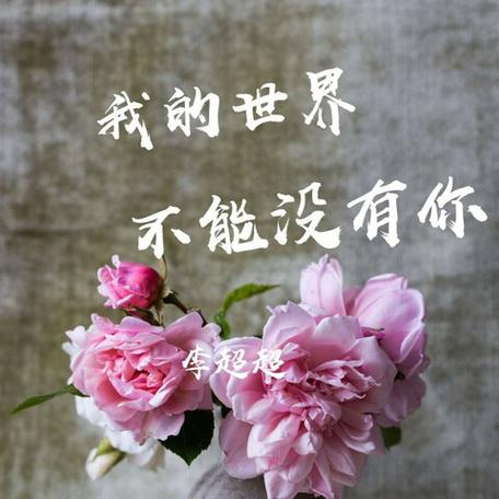 歌曲我的世界不能没有你缩略图