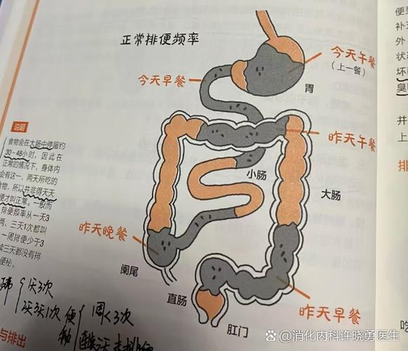 人类的大便去哪里了