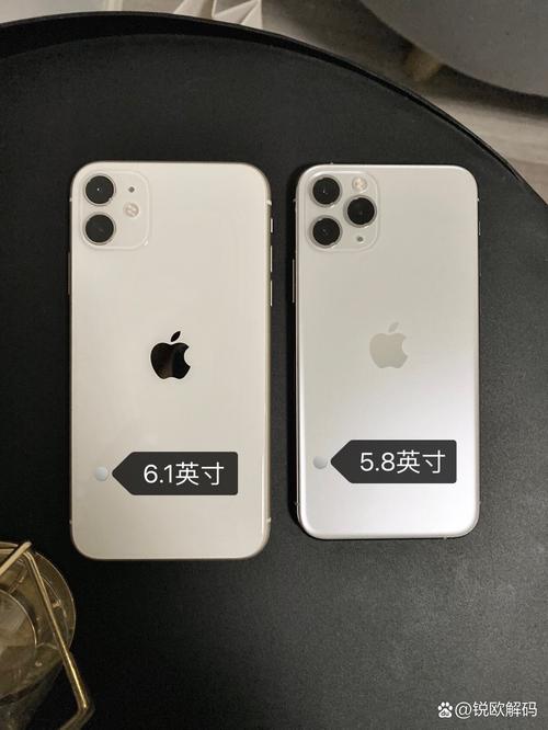 苹果11pro和苹果11哪个好图标