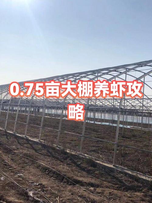 世界农场养虾攻略