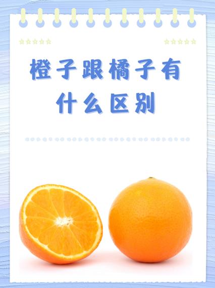 橘子就是橘子橙子就是橙子图标