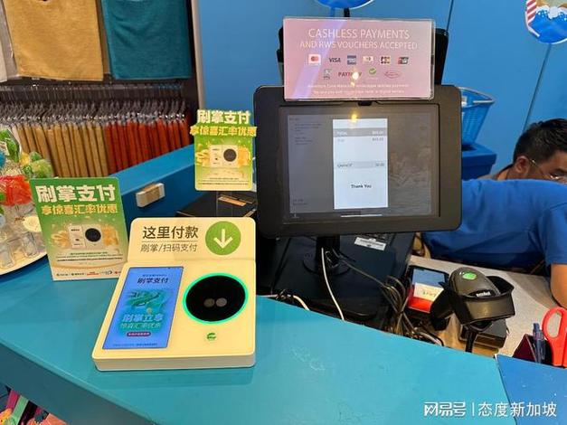 支付打开图标