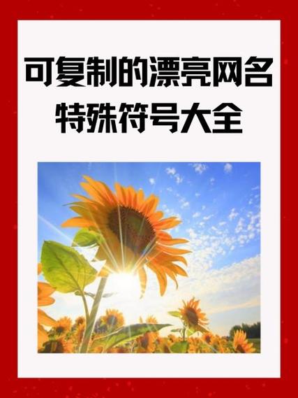 飞燕网名带符号
