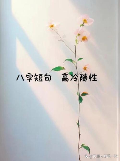 朋友圈文案高级短句缩略图