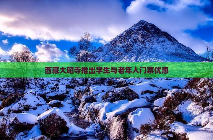 大昭寺60岁门票是否优惠游戏截图