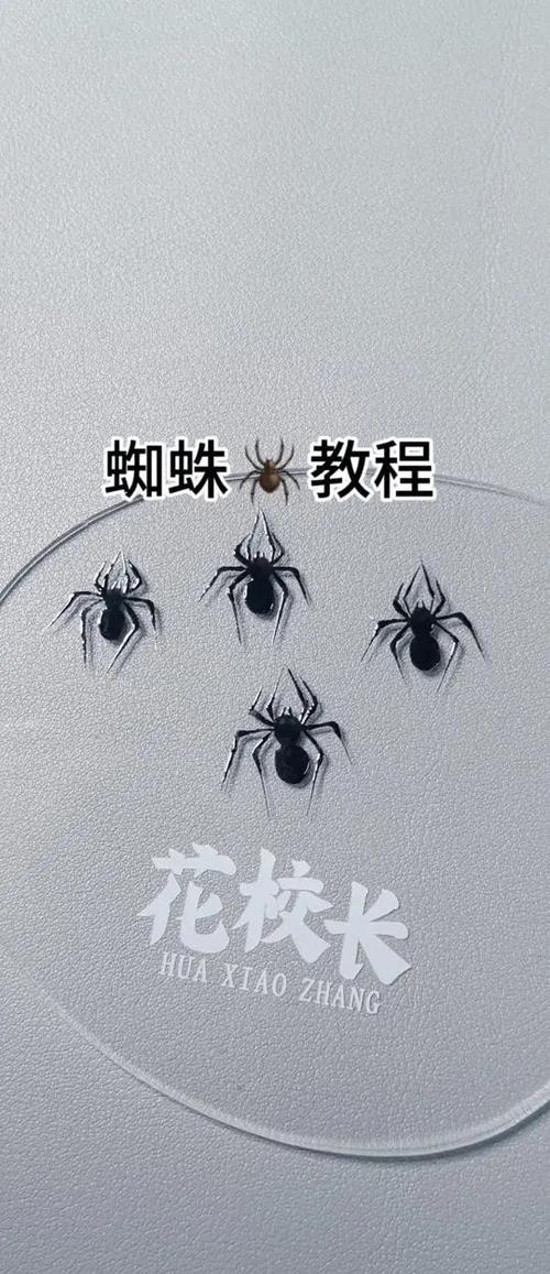 蜘蛛图画大全儿童绘画游戏截图