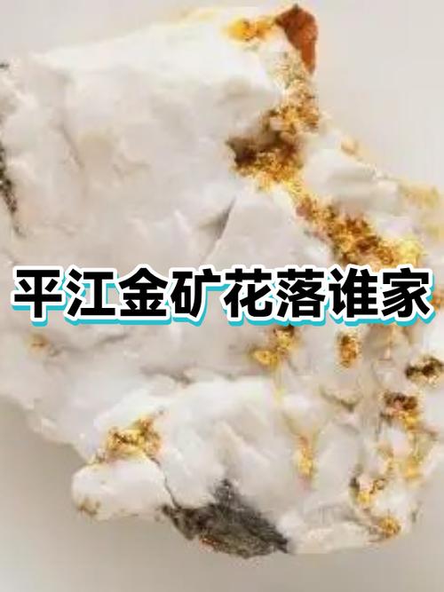 小型金矿一年收入图标