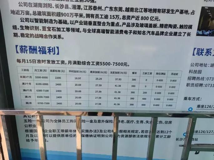 蓝思科技招聘官网游戏截图