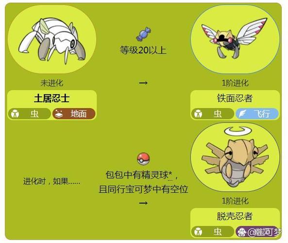 土居忍士值得培养吗缩略图