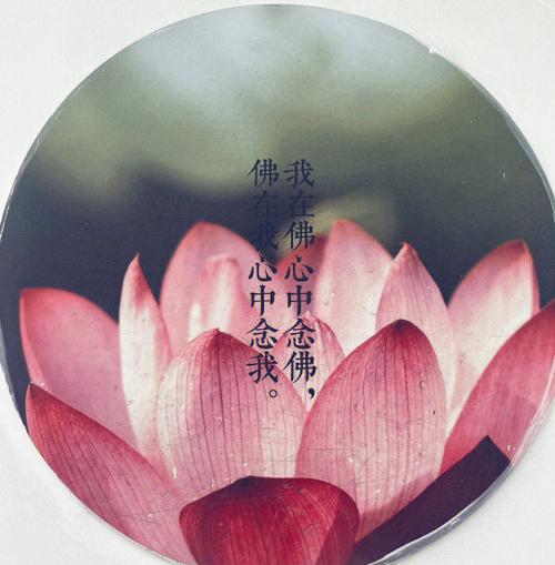 与道有缘的人的特点