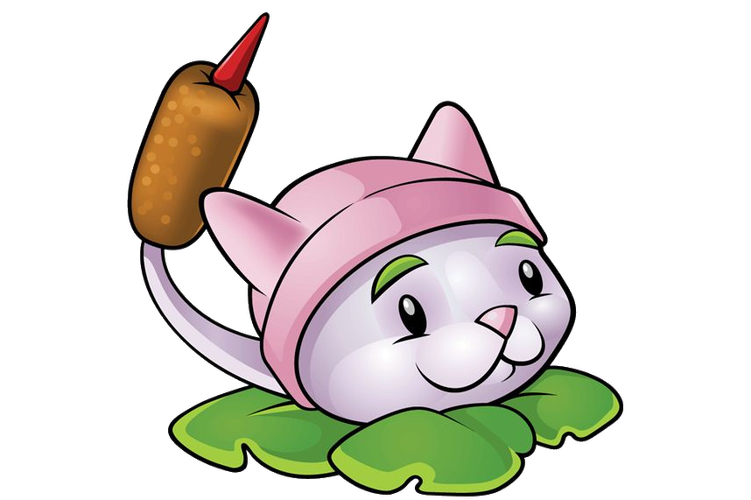 猫尾草简介