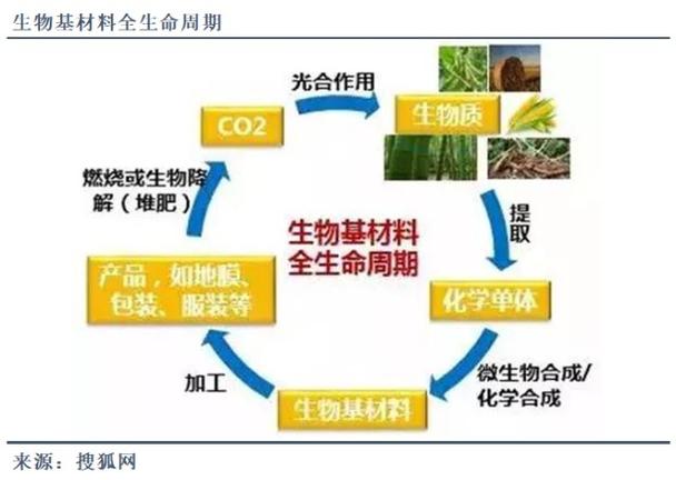 曼大生物材料硕士申请条件缩略图