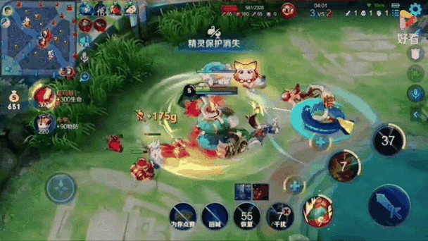 鸿泽王者解说