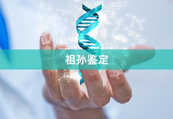 奶奶可以跟孙子做dna吗