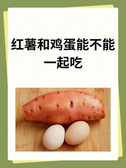 鸡蛋和什么不能一起吃游戏截图