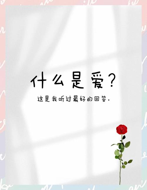 爱是什么 日剧缩略图