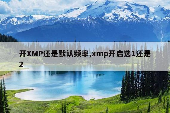 开了xmp内存还是2133缩略图
