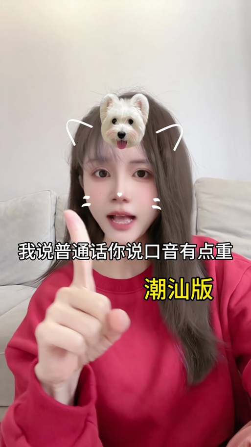 潮汕话读音查询图标