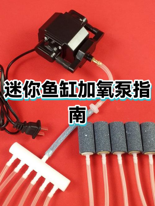 小型鱼缸增氧泵进气口在哪里