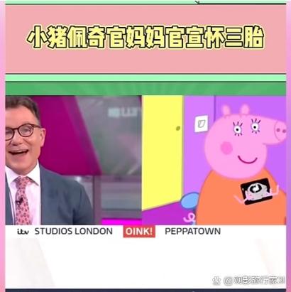 大肚子猪妈妈马上生了图标