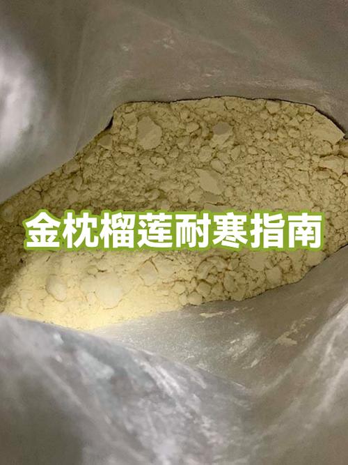榴莲怎么保存不会坏