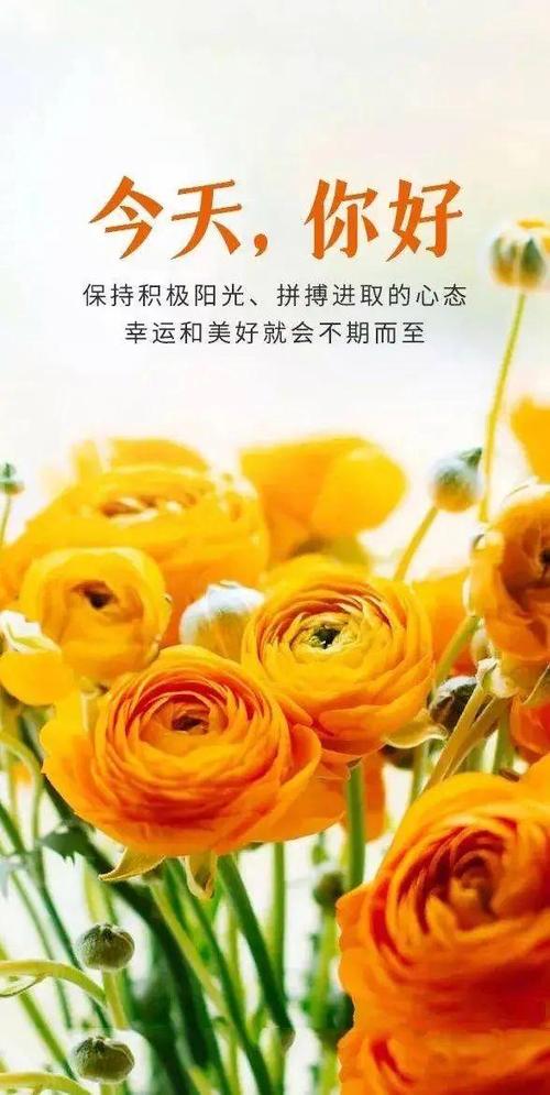 朋友圈经典句子缩略图