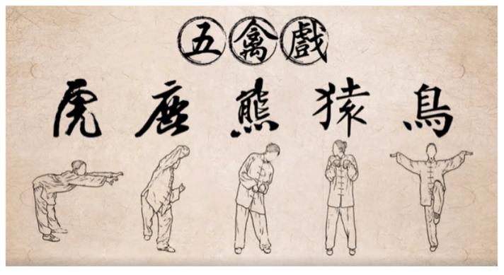 五禽戏12个动作图标