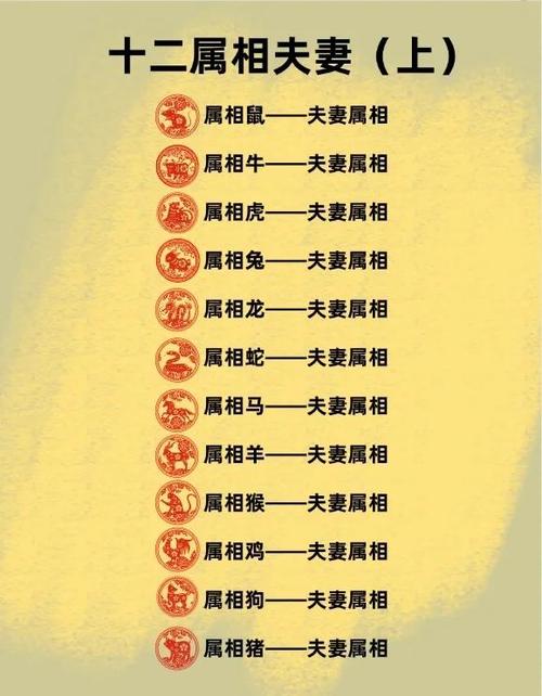 十二生肖才人是什么生肖图标
