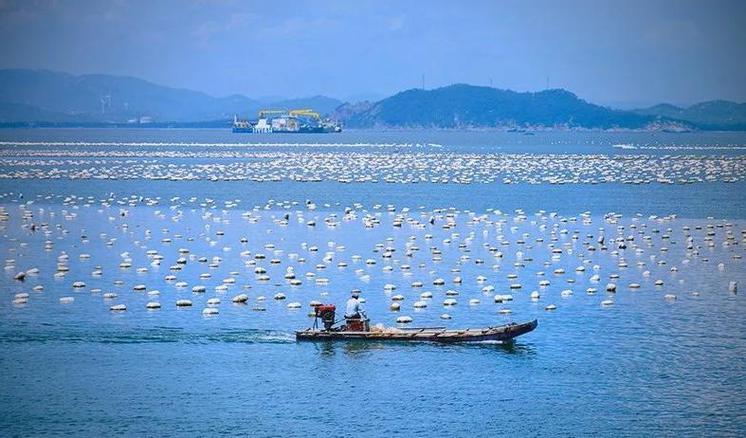 海岛,渔场,牧场海岛游戏截图