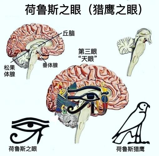 荷鲁斯之眼免费完整版在线观看缩略图