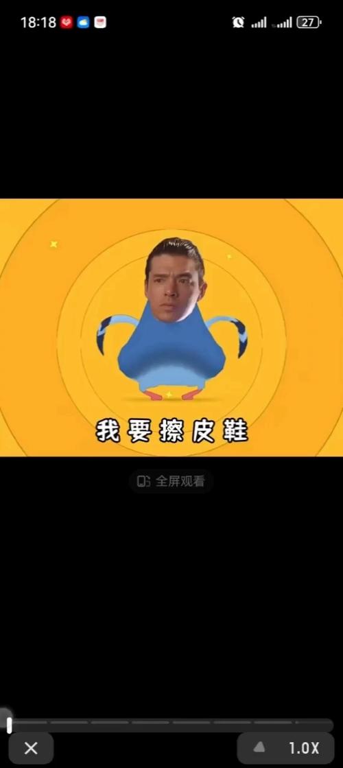 疯狂的鸽子我要擦皮鞋