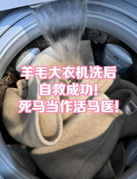 羊毛怎么拔用什么泡