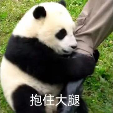 抱大腿表情包 gif缩略图
