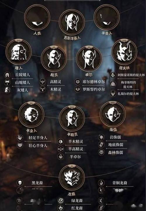 DND种族一览表缩略图